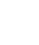 NOE